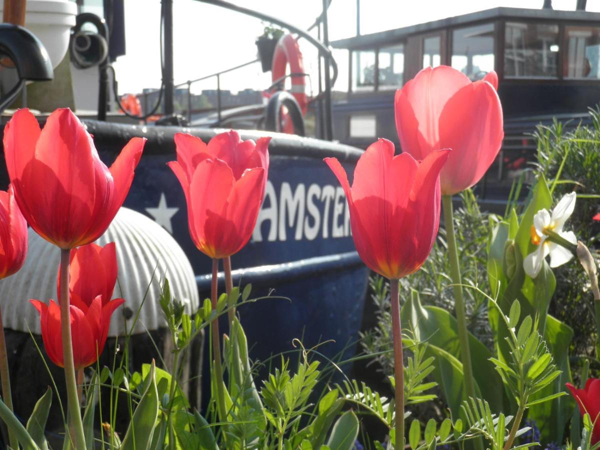 Bed and Breakfast Boat&Breakfast Alhena Amsterdam Exterior foto